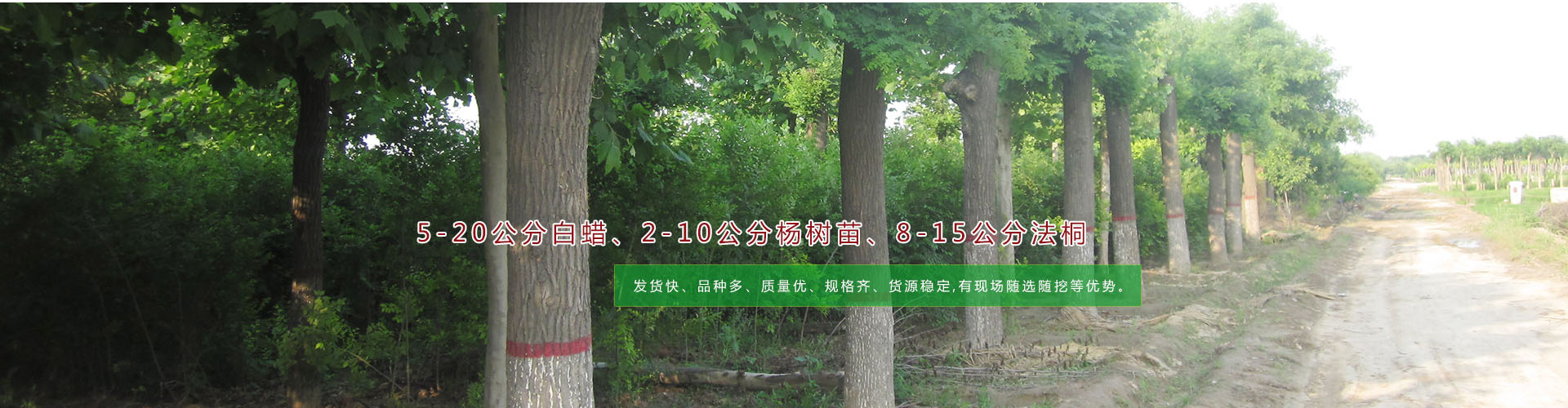 �y(c��)ԇ�ÈDƬ